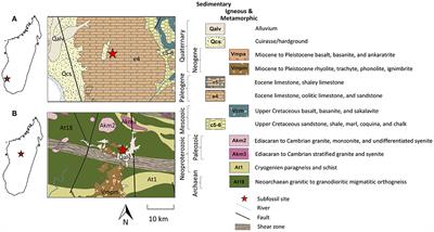 Strontium Isotopes Support Small Home Ranges for Extinct Lemurs
